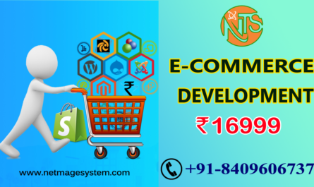 E-Commerce Website Development in Patna,Gaya,Bihar.