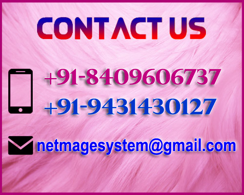 netmage-tech-system-contact-us