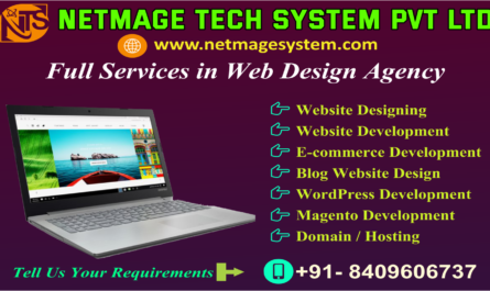 Website Design Company in Gaya