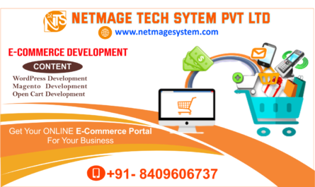 ecommerce-development-netmage-tech-system-patna-gaya-bihar