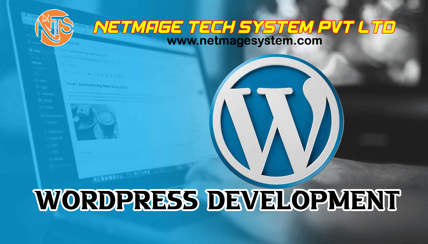 Wordpress Development Services in Patna-Netmage Tech System