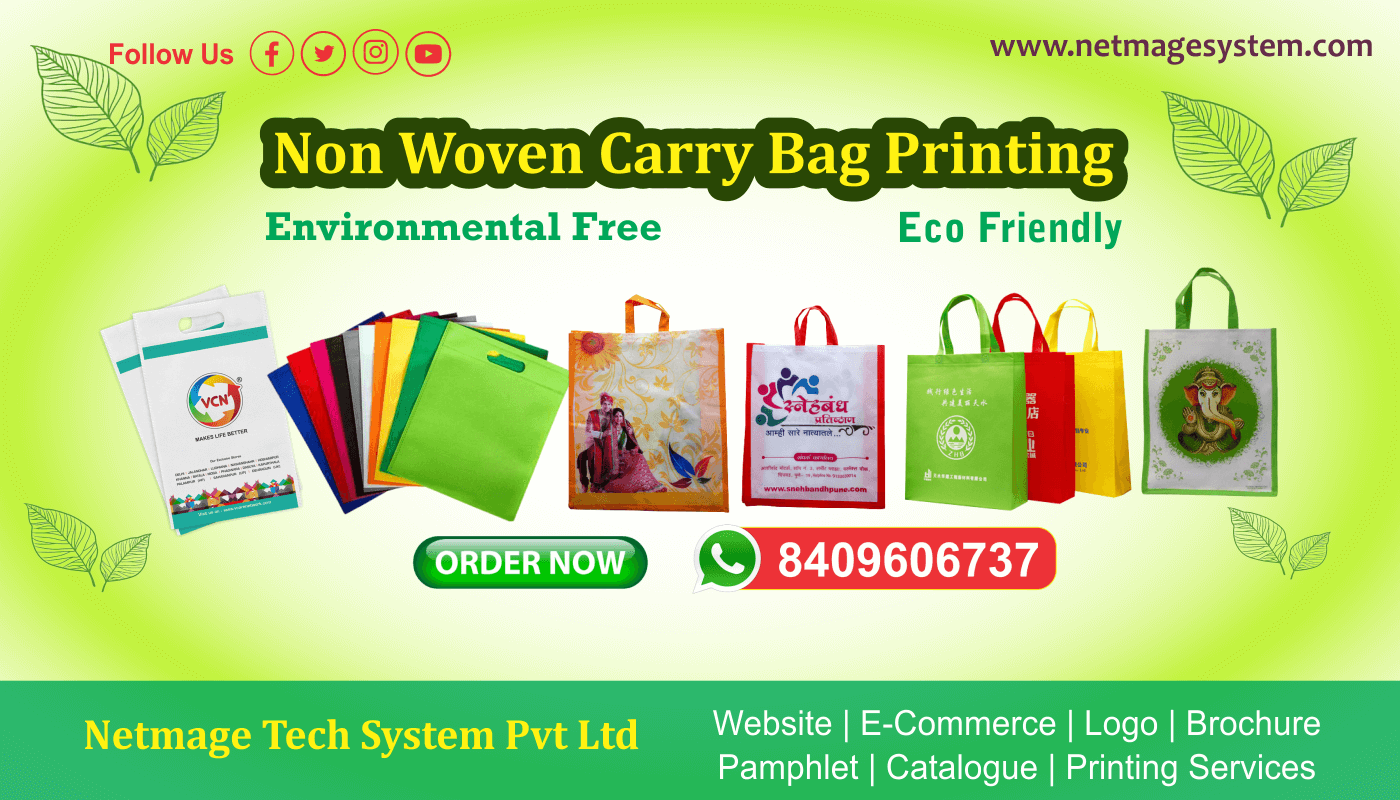 Non Woven Carry Bag Printing Patna