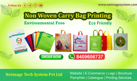 Non Woven Carry Bag Printing Patna