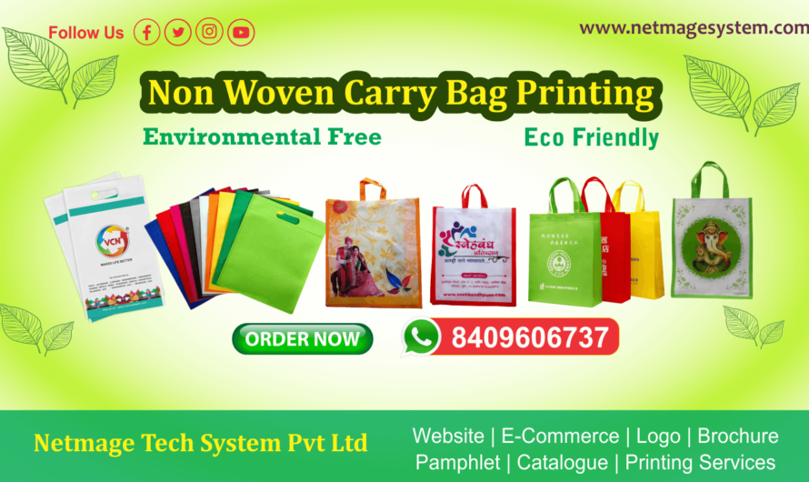 Non Woven Carry Bag Printing Services in Patna
