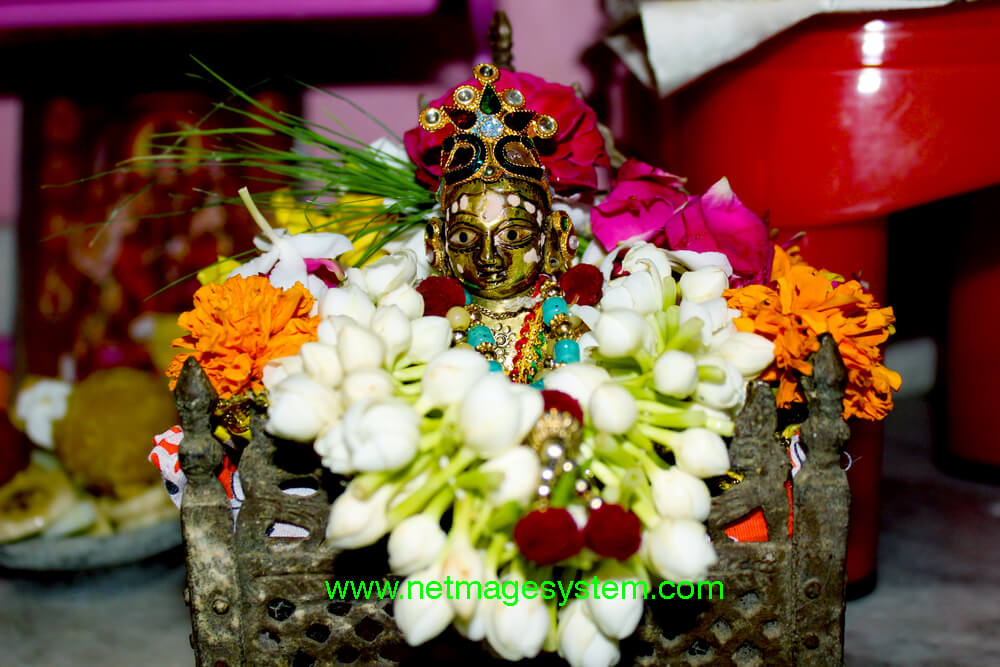 laddu gopal image